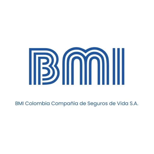 BMI